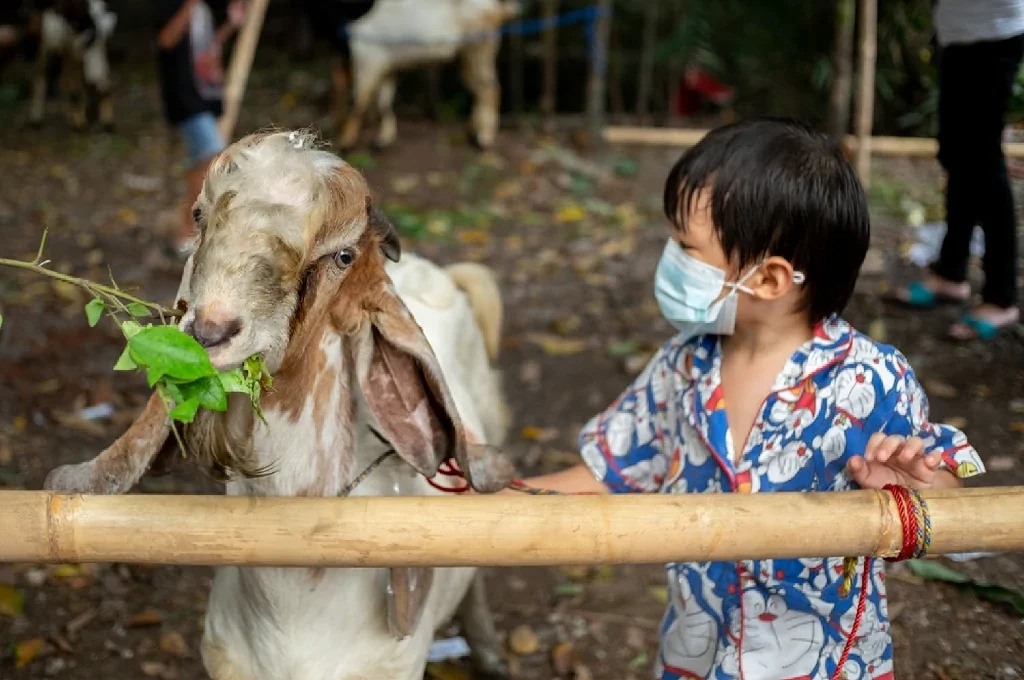 stock-photo-ciputat-tangerang-july-indonesia-children-playing-in-a-place-to-sell-animals-in-the-2010674936-transformed